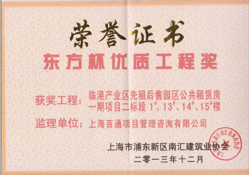 “东方杯”优质工程奖-临港公租房一期