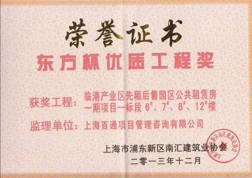 “东方杯”优质工程奖-临港公租房一期